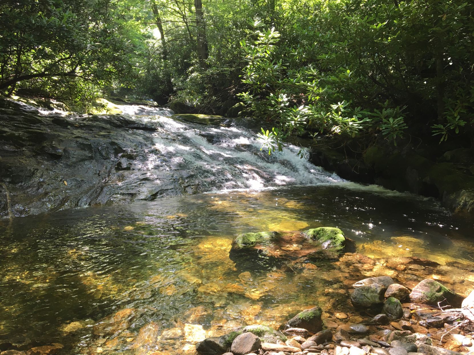 Crossing Greasy Cove Prong
